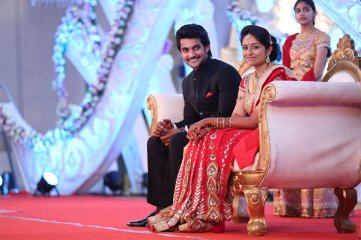 Hero Aadi Wedding Reception Photos